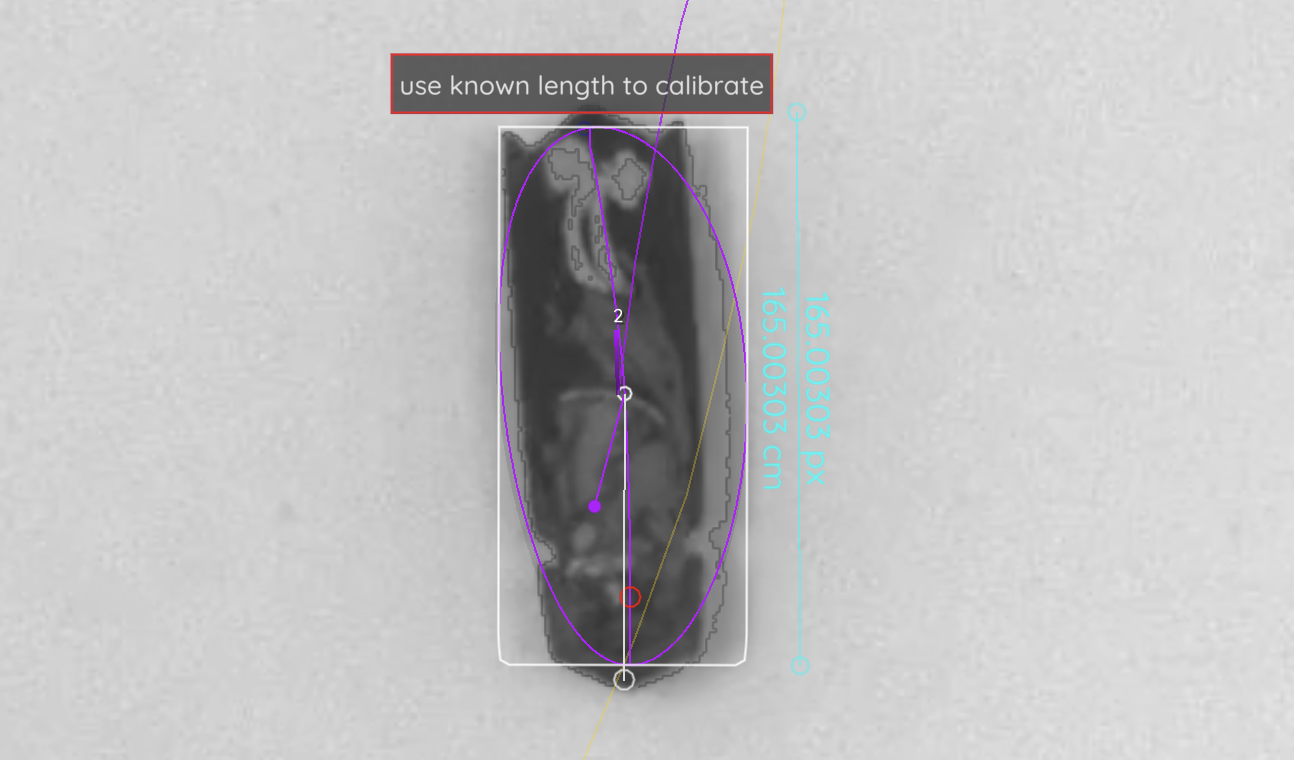 _images/calibrate_0.png